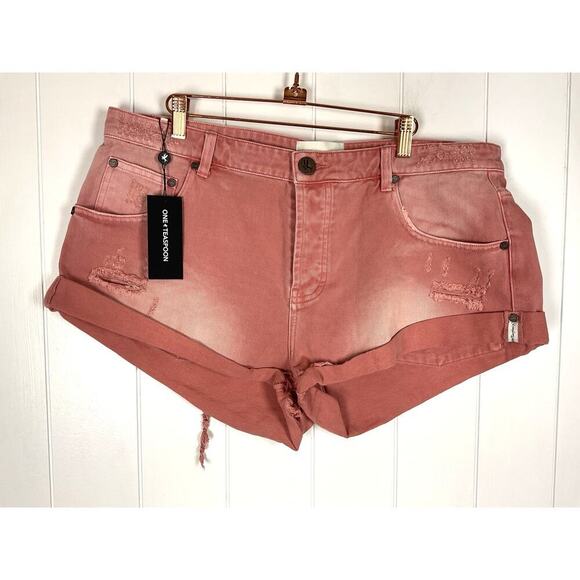 One Teaspoon Bandit Denim Shorts in Pink Denim 5 Pocket NWT Size 34 - Picture 1 of 7